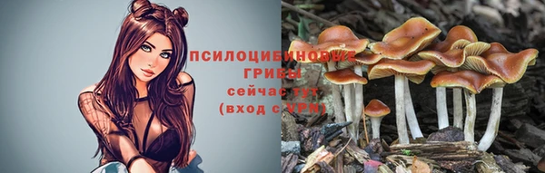 прущая мука Абаза