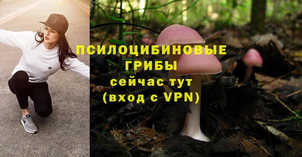 кокс Абдулино