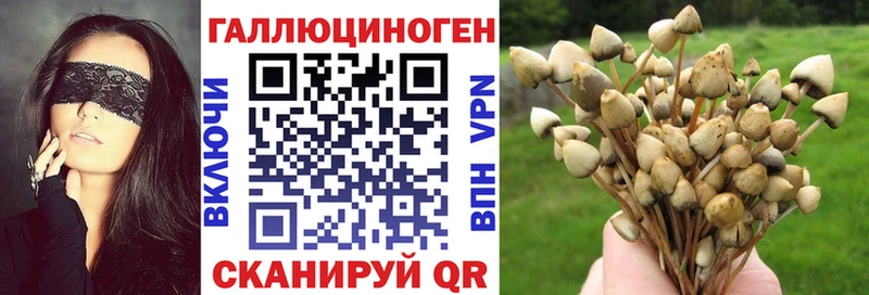 Псилоцибиновые грибы ЛСД  darknet наркотические препараты  Сураж 